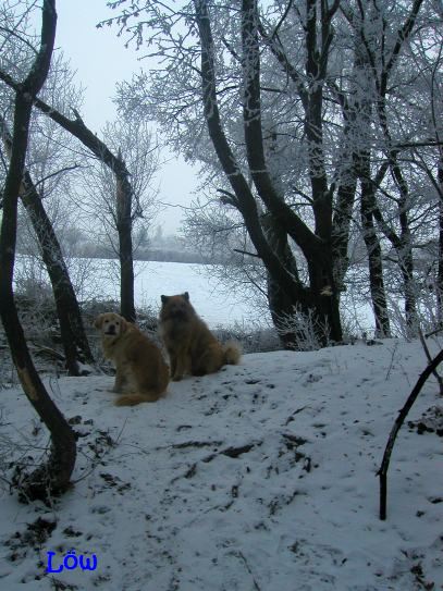 Dezember 2007: Winterlandschaft